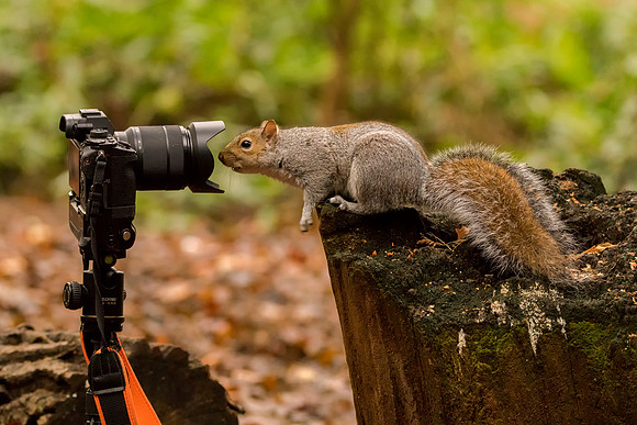 Im Ready © Bob Riach