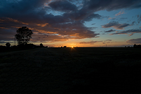 Winteringham Sunset © Bob Riach