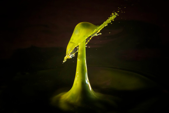 116 Water Drop © Jigsaw Photography
