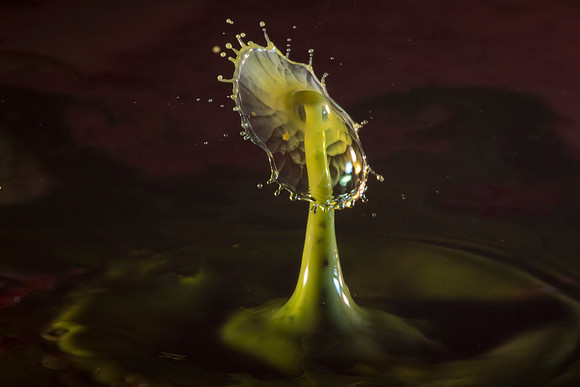 118 Water Drop © Jigsaw Photography