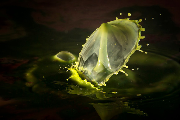 119 Water Drop © Jigsaw Photography
