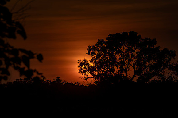 Gambia Sunset  © Bob Riach