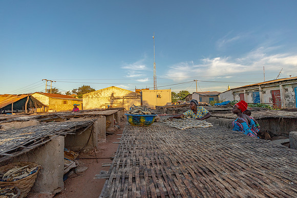 02 Fish Drying at Gambia Fishing Village © Bob Riach