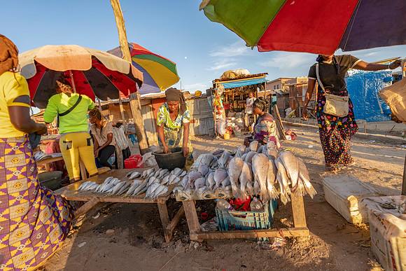 02 Fish Selling at Gambia Fishing Village © Bob Riach