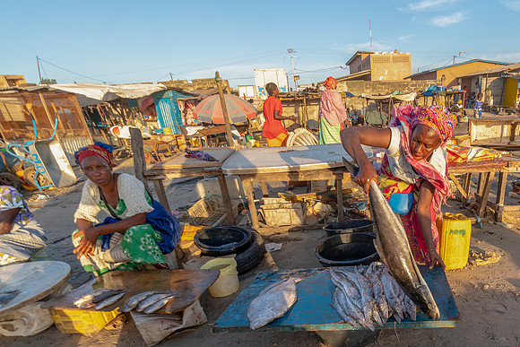 43 Fish Selling at Gambia Fishing Village © Bob Riach