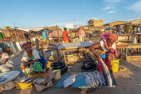 234 Fish Selling at Gambia Fishing Village © Bob Riach