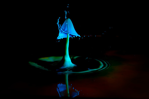 T2-005 Water Drop © Jo Bird & Bob Riach Jigsaw Photography Ltd