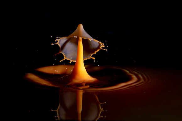 T2-006 Water Drop © Jo Bird & Bob Riach Jigsaw Photography Ltd
