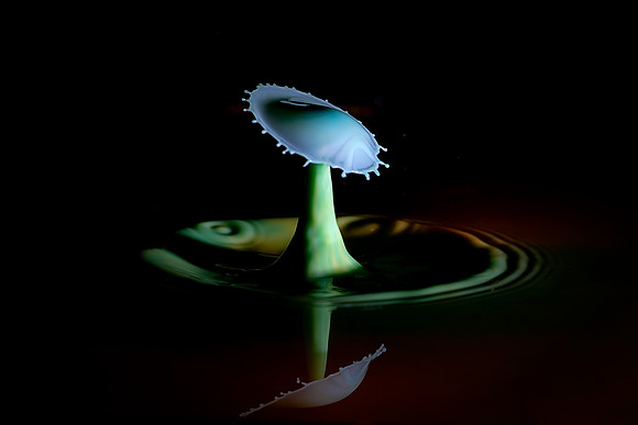 T2-012 Water Drop © Jo Bird & Bob Riach Jigsaw Photography Ltd