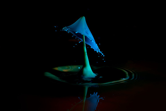 T2-014 Water Drop © Jo Bird & Bob Riach Jigsaw Photography Ltd