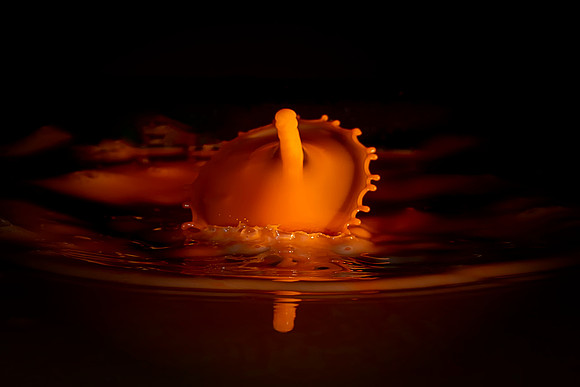 T2-017 Water Drop © Jo Bird & Bob Riach Jigsaw Photography Ltd