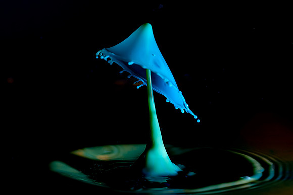 T2-019 Water Drop © Jo Bird & Bob Riach Jigsaw Photography Ltd