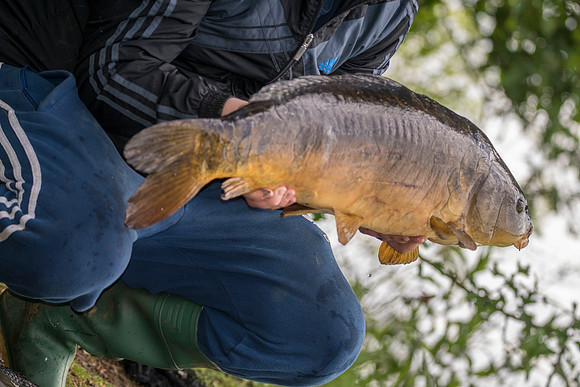 Ashby Ville  Carp 18lb   Scunthorpe © Bob Riach