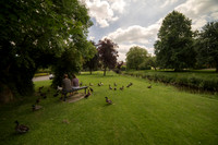 Scotter Village Ducks © Jo Bird