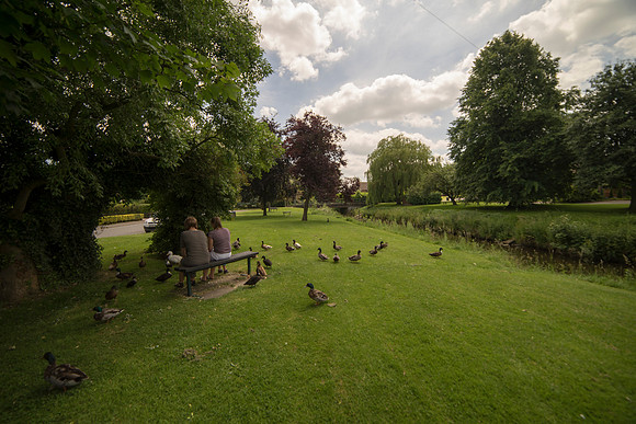 Scotter Village Ducks © Jo Bird