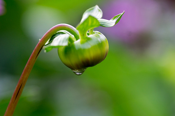 Its been raining by Bob Riach